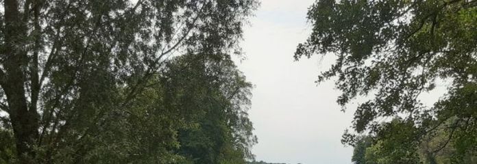 IMMOBERLIN.DE - Großartiges Baugrundstück beim Zernsdorfer Lankensee