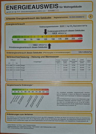 Auszug Energieausweis