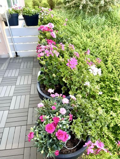 PROVISIONSFREI & kurzfristig verfügbar – ein Zuhause zum Wohlfühlen mit Terrasse & Balkon – Balkon