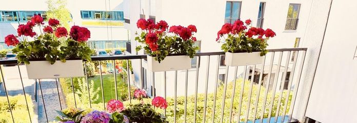 Elegante 3-Zimmer-Wohnung im 2. OG mit Balkon in Scharnhauser Park