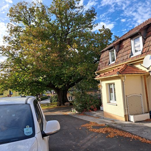 Casa con fienile – Photo 3
