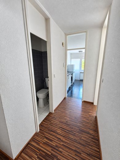 Sonnige 3-Zi.-Whg. mit großem Balkon in Trudering, sehr gepflegte grüne Anlage. Provisionsfrei – EINGANG