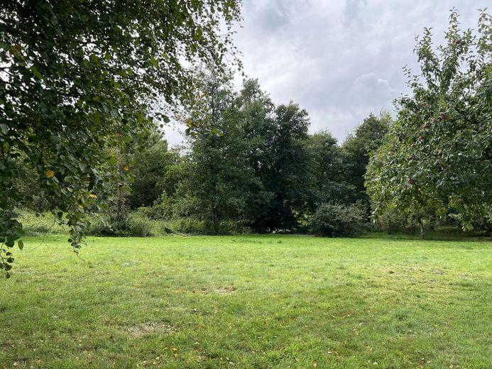 Garten Baugrund