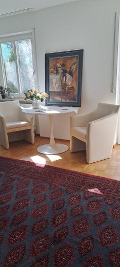 Möbliertes 1-Zimmer Apartment mit Tiefgarage ab sofort an Nichtraucher Single ohne Haustier – Wohn-Schlafzimmer