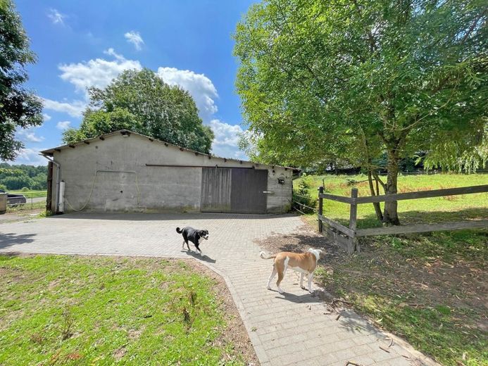 Osthessen, Landkreis Fulda, 36154 Hosenfeld, grosses Wohnhaus mit Pferdestall zu verkaufen – 2601 Osthessen, Landkreis Fulda, 36154 Hosenfeld, grosses Wohnhaus mit Einliegerwohnung + Pferdestall zu verkaufen
