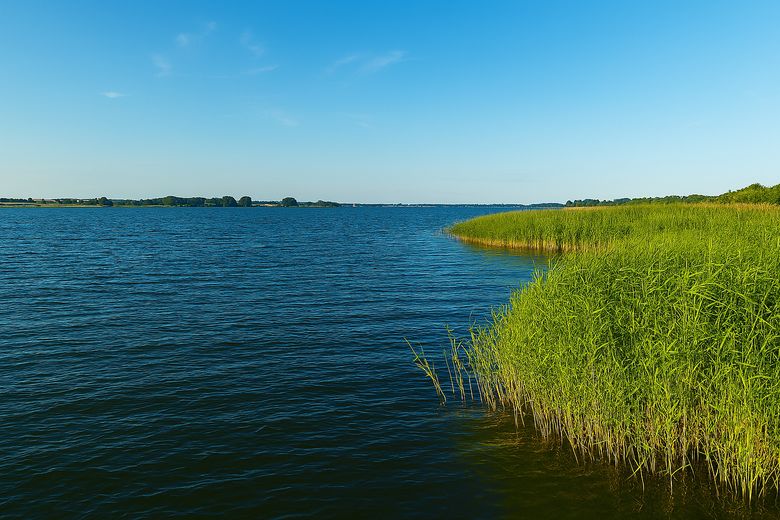 Schlei