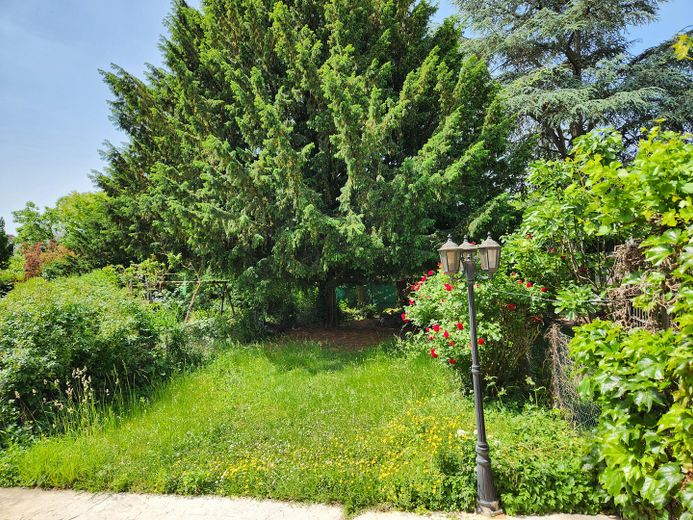 Modern saniertes Reihenhaus mit Garten in Wiesbaden-Südost – Garten