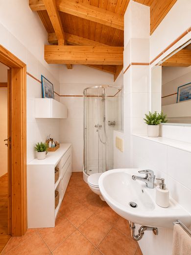 vivienda de ensueño en un entorno verde *Casa unifamiliar en Klotzsche* – Bad mit Dusche