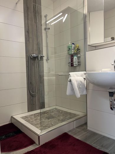 Reihenhaus – Bad mit Dusche und WC