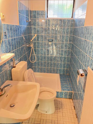 Architektoniczny klasyk z potencjałem w centralnej lokalizacji – Badezimmer Kellergeschoss