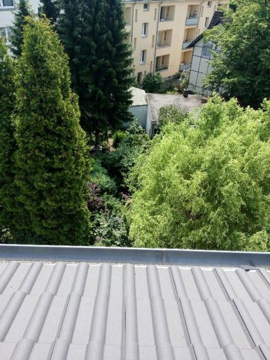 2,5-Zimmer-Wohnung in der Nähe des Lutherparks – Blick aus dem Fenster