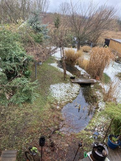 Frühling Gesamtansicht Garten