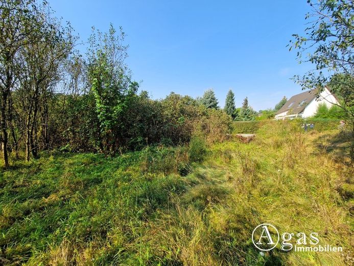 Bauträgerfreies Traumgrundstück mit ca. 1.000 m² in ruhiger Lage von Groß Lindow – Grundstück Ansicht 3