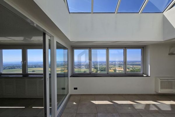 PENTHOUSE SUCHT KAPITALANLEGER