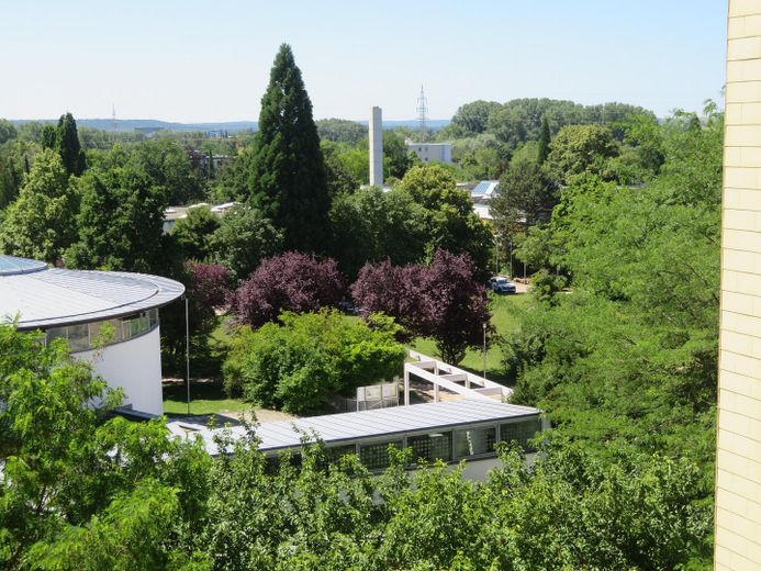 Blick vom Balkon