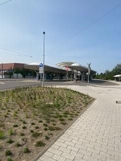 Bus-Straßenbahnzentrum