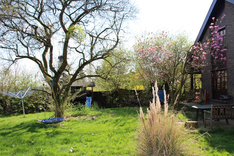 Garten hinten -3