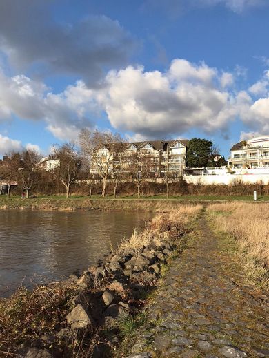 Eine Wohlfühloase direkt am Rhein – Foto 3