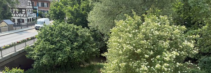Ausblick Schwarzach