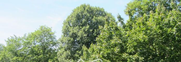 Alfter/Bonn * Barrierearme Komfortwohnung* Aufzug * EBK * S/W Loggia*Stellplatz* Hausmeisterservice*