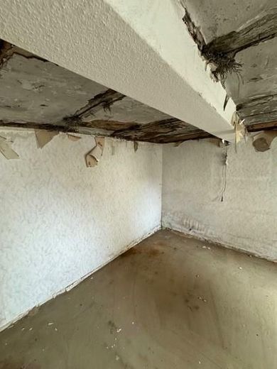 HANDWERKERJUWEL! Altbauflair für Bewohner mit jungen Ideen! Die Vergangenheit zur Zukunft machen! – 1 EG mit Schmiede (1)