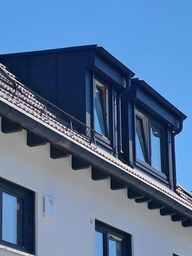 Gauben Bad u. Wohnzimmer West
