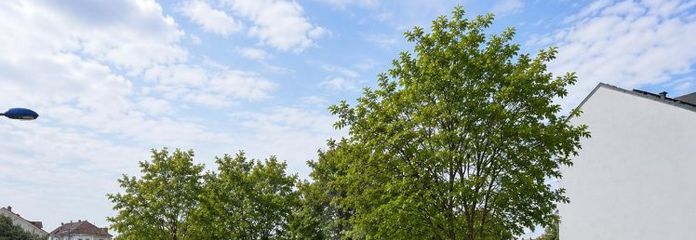 VIEL PLATZ FÜR IHRE ZUKUNFT AUF 734 M²