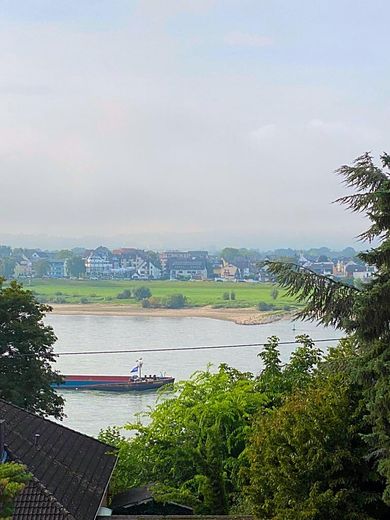 Courtagefrei: – Ausblick Rhein