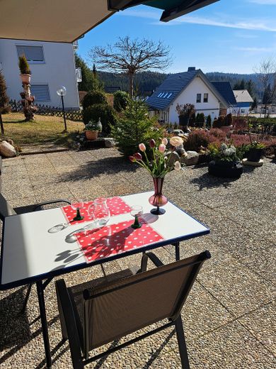 HAUS-SCHLUCHSEEBLICK: 3 Ferienwohnungen mit "Classic-Car-Ambiente" in Premiumlage (€ 1,1 Mio. +Inv.) – UG Terrasse