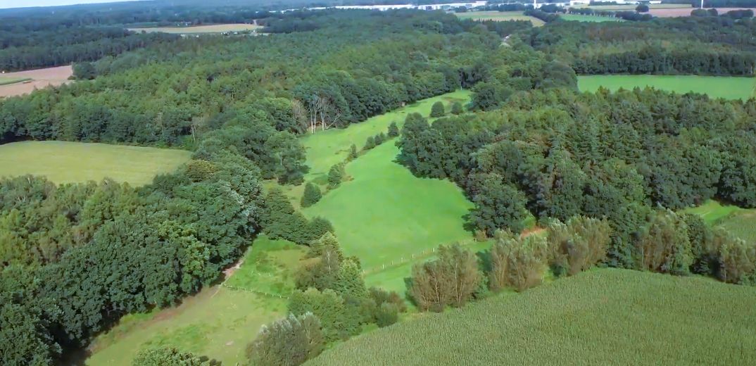 #PRECIO INIGUALABLE#TERRENO FORESTAL GIGANTESCO#REGIÓN DE HEIDE+3 CASAS GRATIS#VÉASE EL TEXTO – NATUR - IDYLLE - PUR