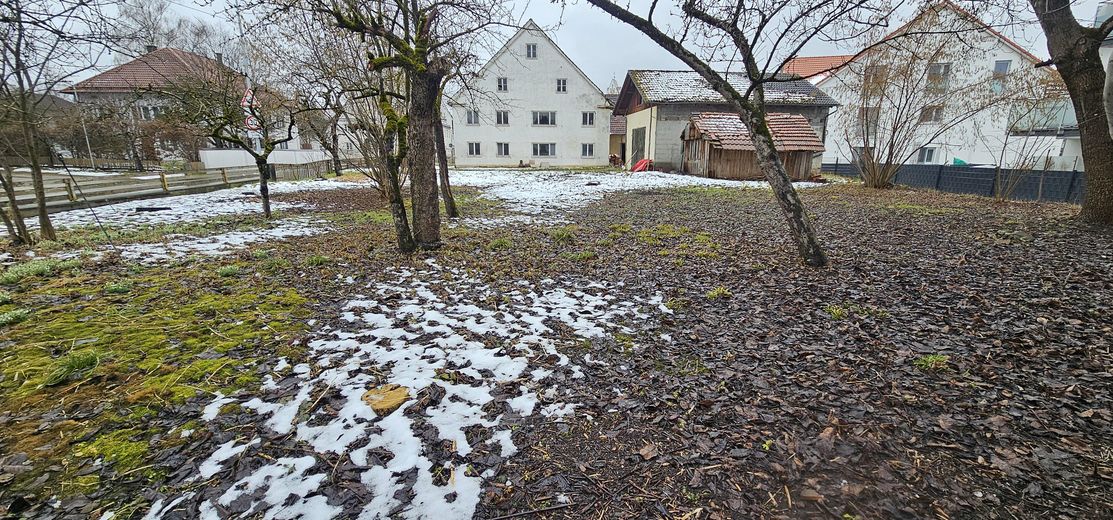 Ostansicht