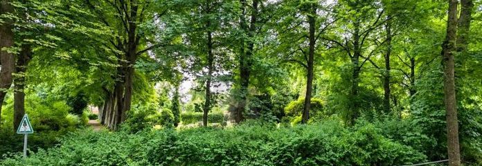 EINS ZWEI DREI ODER AUCH VIER - ALLES MÖGLICH