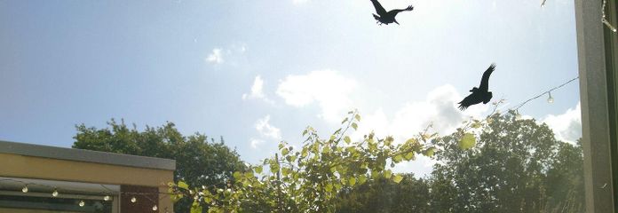 Квартира мрії на весь поверх — повністю реконструйована, без комісії – Traumblick ins Grüne
