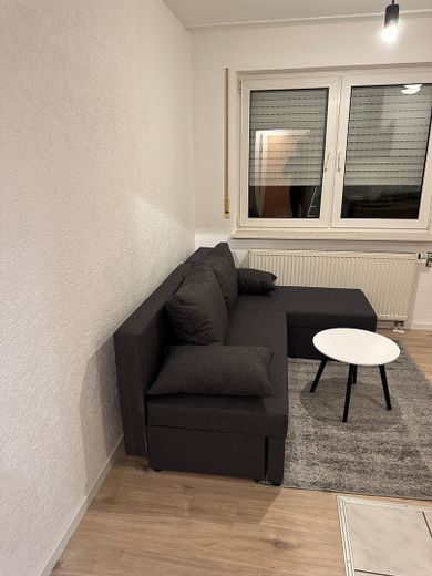 Appartement confortable de 1,5 pièce meublé avec terrasse et jardin à Bad Rappenau-Fürfeld – Photo 3