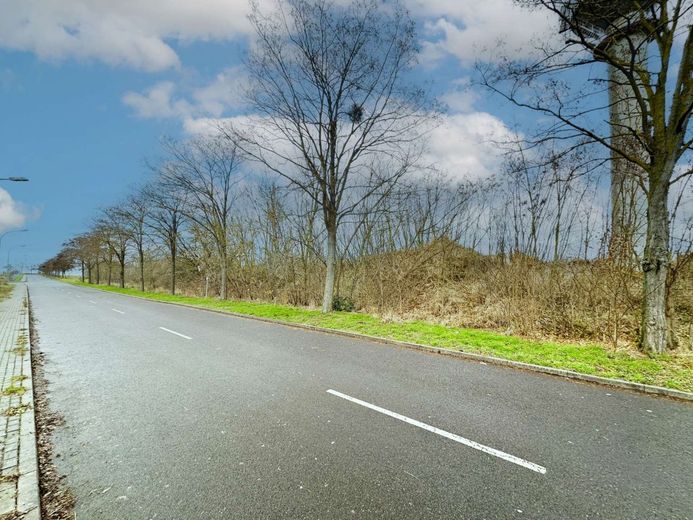 Provisionsfreie Gewerbefläche bei Magdeburg zum Sonderpreis ! – Oestliche Straßenansicht