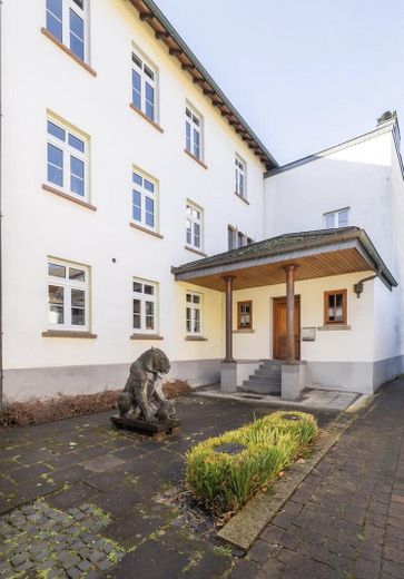 Villa histórica con vistas al Rin, edificio anexo y garaje – Haupteingang