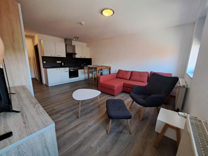 Modern und Gemütlich, Pendlerwohnung, 1-Raum Appartement im Denkmalhof, komplett ausgestattet – Gesamtraum 