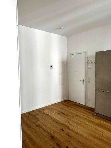 Door to the apartment