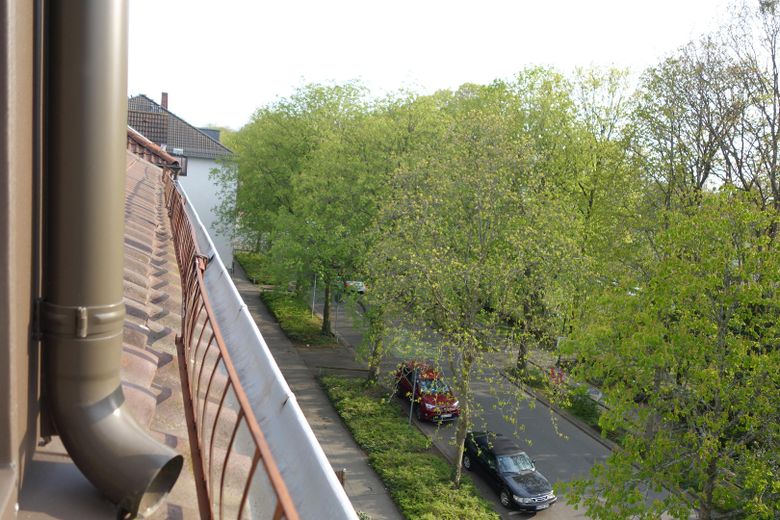 Attraktive DG-Wohnung -  Citylage im Grünen an Kuppelkirche, hohe Lebensqualität; von privat – Blick auf die Allee nach Süden