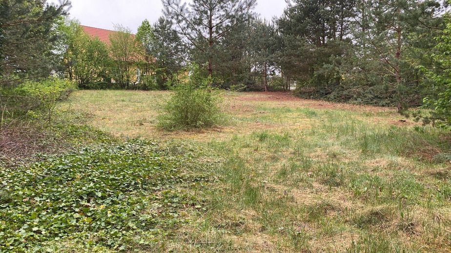 1.254 m² Baugrundstück nahe Stechlinsee – teilbar , ruhige Lage (provisionsfrei) – Foto 13