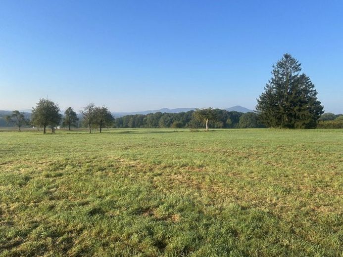 Attraktives Baugrundstück in ruhiger Wohnlage mit Weitblick auf das Siebengebirge – Foto 1