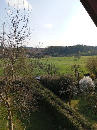 Blick nach Südwest