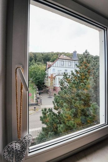 Wohnung 1. OG - Ausblick