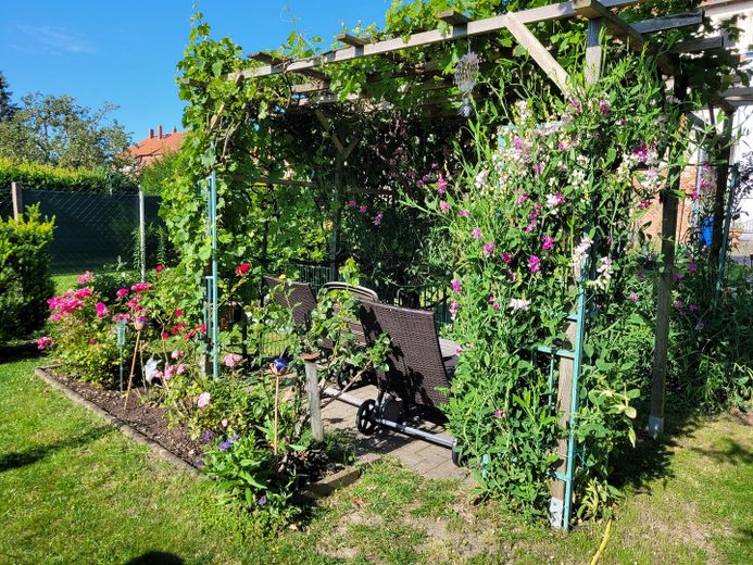 Weinlaube im Garten