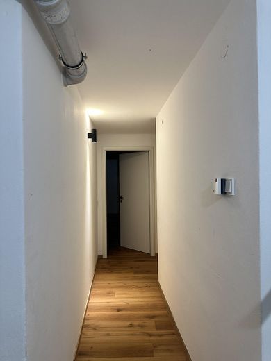 Loft ähnliche 5-Zi Wohnung perfekt für WG geeignet – Gang im Keller