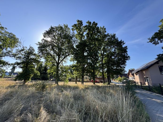 Grundstück im schönen Wiederau - Baupartner für Doppelhaus gesucht – Blick Süd