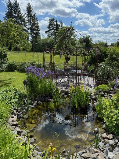 Blick auf den Teich