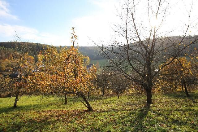 Verdelingsexecutie 21-10-26 -EENGEZINSWONING BOUWGROND-3398qm-OPDEELBAAR, rustige zuidwestelijke ligging, ontsloten – Blick nach Süden