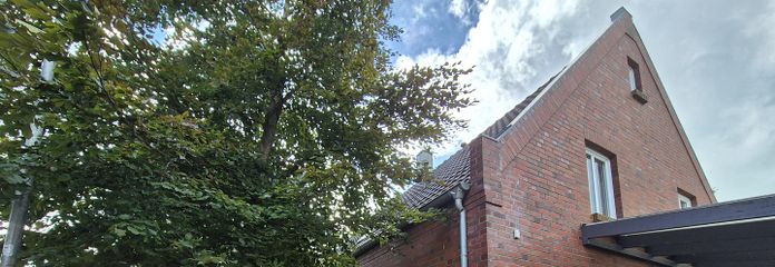Schickes Einfamilienhaus in Jemgum, nähe Leer **Provisionsfrei** – Haus seitlich mit Carport