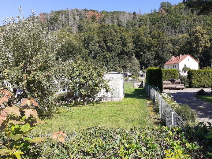 Teilbereich des Gartens